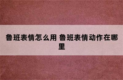 鲁班表情怎么用 鲁班表情动作在哪里